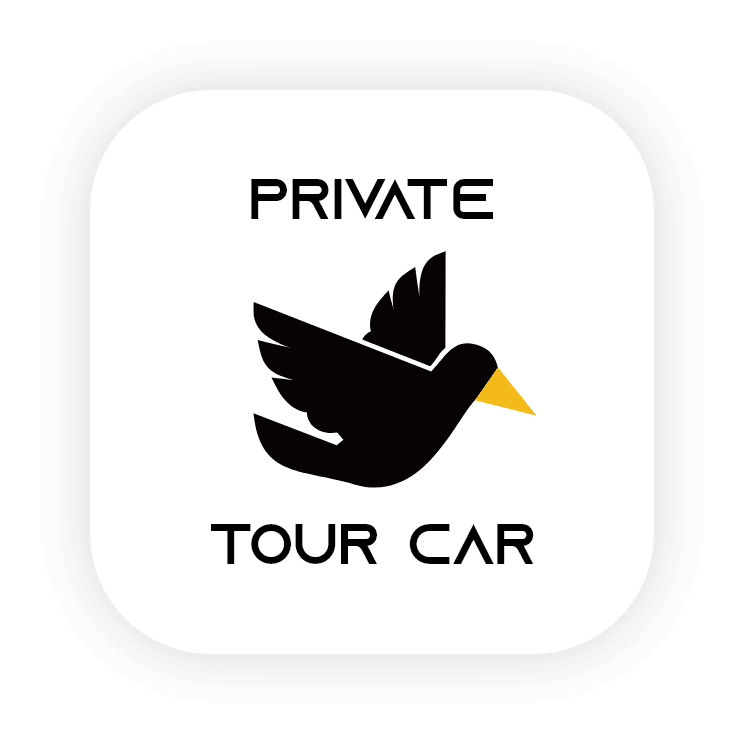BLACKBIRD T App Icon Image